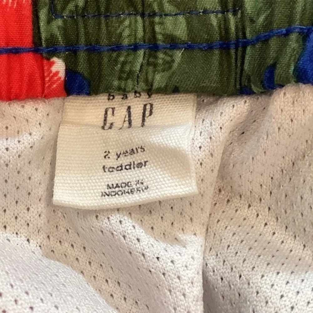 Baby Gap Boys Swim Trunks T-Rex Dinosaur Hawaiian Pool Vacation - Size 2T
